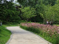 -云龙湖旅游景区