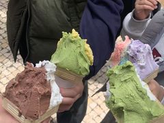-柠檬车露(卖草地店)