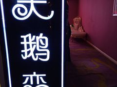 -天鹅恋
