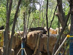 -北京野生动物园