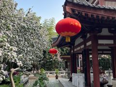 -大唐博相府酒店·陕西官府菜