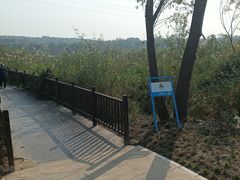 -永定河休闲森林公园
