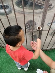 -萌宠亲子动物乐园(槐房万达店)