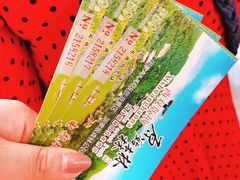 -西双版纳原始森林公园