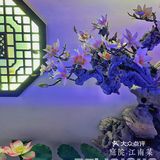 江南春花红胜火，3🈷️来庭院体会最美江南吧[机智]