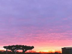 -东北师范大学(净月大街校区)