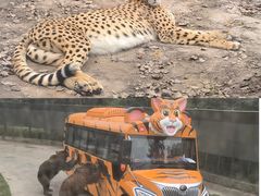 -上海野生动物园