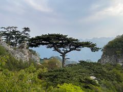 -圣莲山风景区