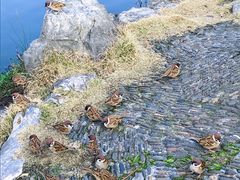-苏堤停车场
