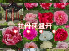 -仁和公园(顺义区)