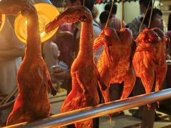 -地中海传奇水汇