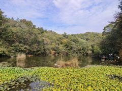 -天目湖山水园
