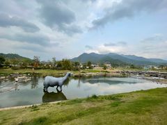 -广州市石门国家森林公园