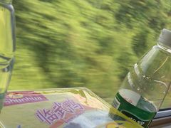 -郴州特产舜华临武鸭(郴州西站店)