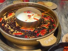 -矮板凳老火锅(宽窄巷子店)