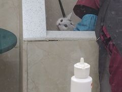 -美联众合动物医院·内科·皮肤科·外科(古城分院)