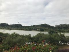 -鹤之洲湿地公园