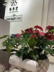 -健身堂科技美肌SPA