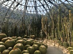 -深圳仙湖植物园