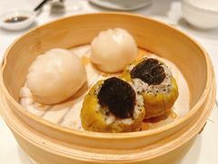 -伯衡55·吉品轩(乌鲁木齐南路店)