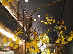 -京华烟云·北京烤鸭(领展购物广场·中关村店)