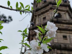 -船政文化景区-罗星塔公园