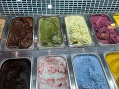 -iceason爱茜茜里·意大利健康冰淇淋(骑龙巷店)