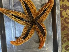 -众想海鲜·烧烤·海肠捞饭·渔家菜(孙家疃店)