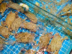 海河新鲜-東城故事·尋找姆媽的味道(玉兰路店)
