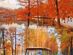 -美的鹭湖森林度假区