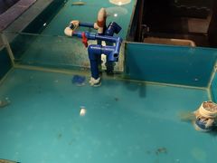 -星伦多 自助料理(圆融店)
