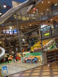 -卡通尼·Safari非洲探索乐园·生日会(金桥国际商业广场店)