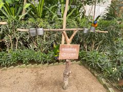 -南宫五洲植物乐园