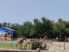 -西安秦岭野生动物园