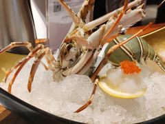 龙虾刺身头盘-Mr·Fish鱼鲜生海鲜放题(银泰in99店)