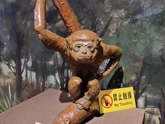 -泗洪县文化艺术中心