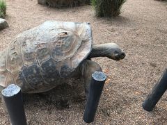 -费瑟代尔野生动物园