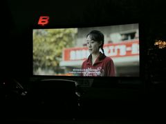 -枫花园汽车电影院(朝阳公园店)