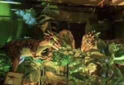 -恐龙探索乐园(磁器口店)