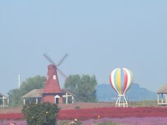 -苏州太湖西山岛开心农场