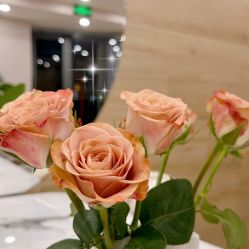 -酉嘉瑜伽YO+YOGA