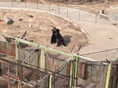 -青藏高原野生动物园