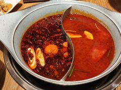 -青瓷火锅料理(西单大悦城店)