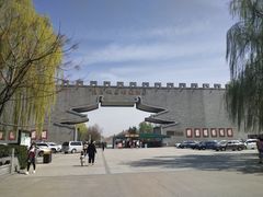 -洛阳市隋唐城遗址植物园