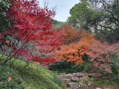 -杭州半山国家森林公园
