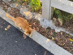 -广州市白云山风景名胜区