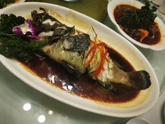 -小贝壳酒楼(经九路店)