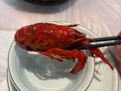 -怪怪龙虾·来自江苏盱眙(惊驾路店)