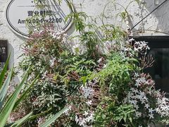 -云里小坐·小院里·团建·宴请·下午茶(三圣乡店)