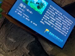 -蓬莱欧乐堡海洋极地世界